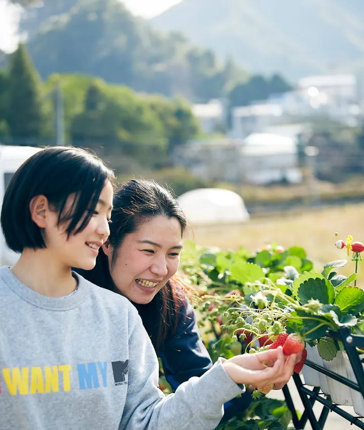 出張いちご農園